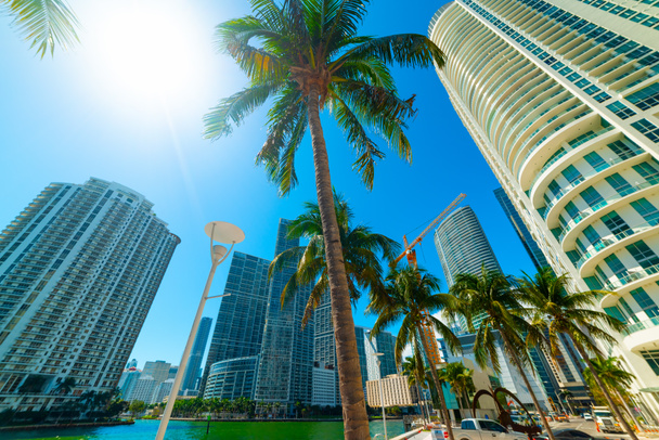 Sun shining over Miami riverwalk - Photo, Image