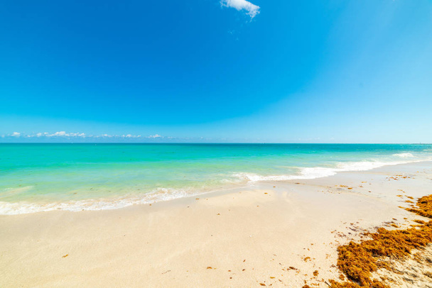 Fehér homok és türkizkék víz a világhírű Miami Beach - Fotó, kép