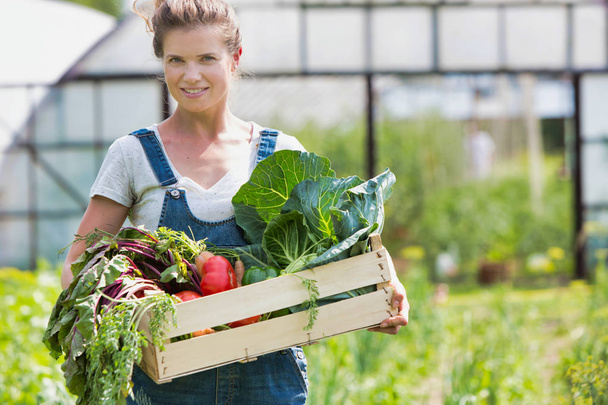 Portrait of smiling adult woman holding vegetables in crate at farm - Fotografie, Obrázek