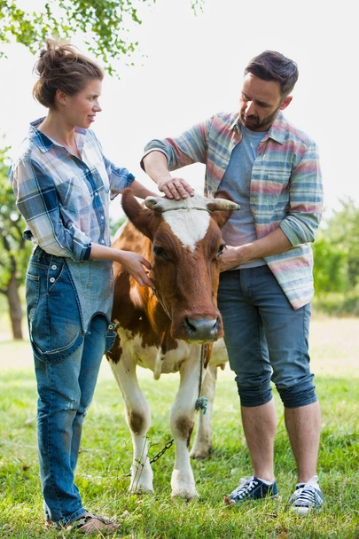 Smiling couple standing with cow at farm - Zdjęcie, obraz
