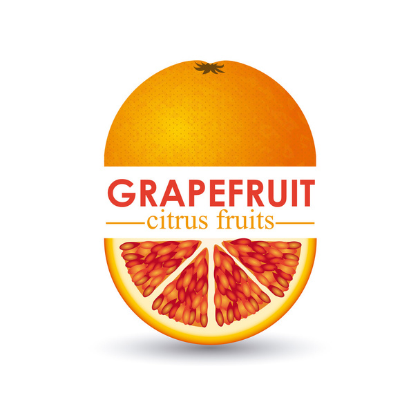 grapefruit a citrusfélék - Vektor, kép