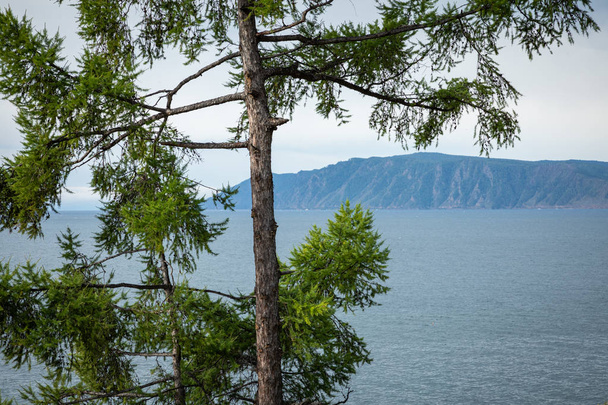 Řeka Angara u jezera Baikal ve vesnici Listvyanka. Letní landsc - Fotografie, Obrázek
