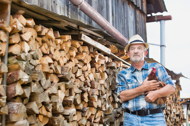 Senior farmer holding hen while standing by logs at farm - Фото, изображение