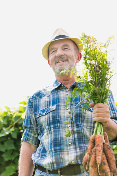 farmer holding fresh organic carrots at farm - Foto, afbeelding