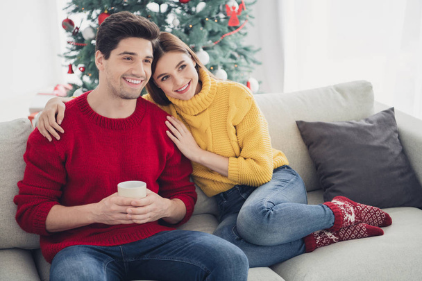 Full length top above high photo of two people sit on couch have romance on christmas holidays watch newyear movies man hold mug with eggnog woman hug wear red knitted socks in house - Foto, afbeelding