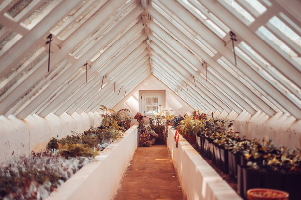 Interior of an antique greenhouse in triangle shape - Photo, Image