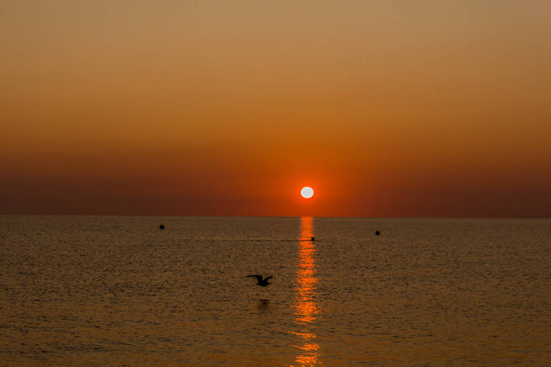 Rgen Binz plajında nefes kesen gündoğumu - Binz/Rgen/Almanya - Fotoğraf, Görsel