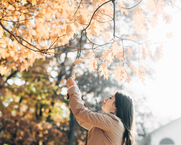 Όμορφη ευτυχισμένη νεαρή γυναίκα με τα φύλλα στο φθινοπωρινό πάρκο υπαίθρια. Φωτεινή ηλιόλουστη μέρα - Φωτογραφία, εικόνα