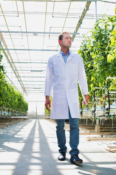 Scientist in lab coat walking amidst plants at greenhouse - Fotoğraf, Görsel
