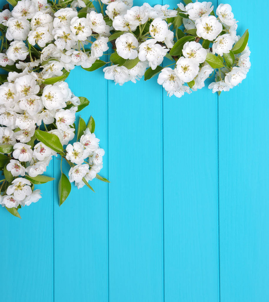  Ανοιξιάτικα λουλούδια σε ξύλο - Φωτογραφία, εικόνα
