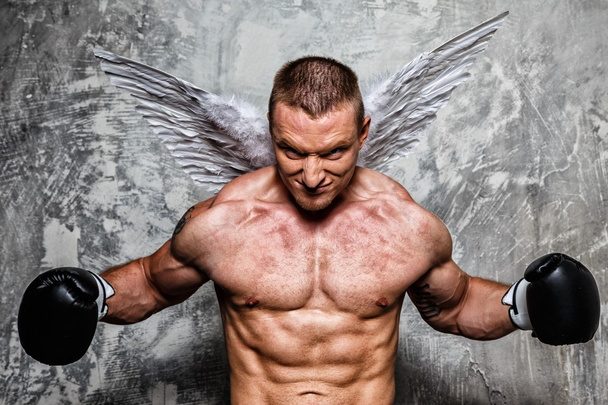 Боксер с крыльями ангелов
 - Фото, изображение