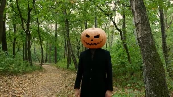 Jack Pumpkinhead is standing in the forest, Guy puts a real pumpkin on his head. Halloween concept - Footage, Video