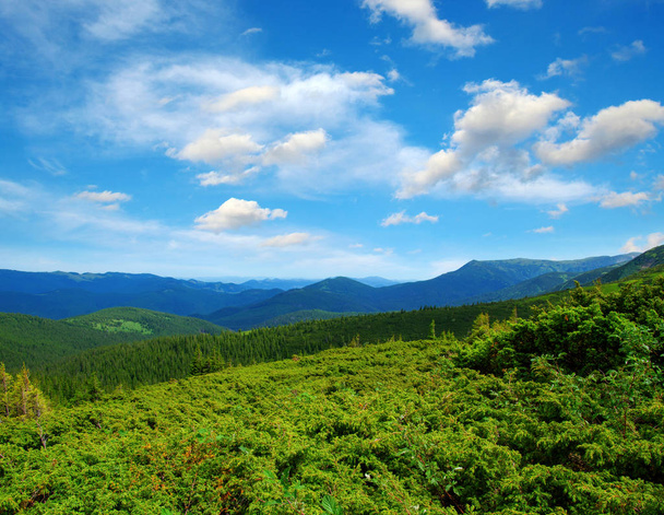 krajobraz górski w lecie - Zdjęcie, obraz