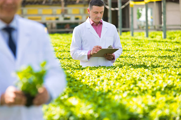Confident mature male scientist examining herbs while standing in plant nursery - Foto, Imagen