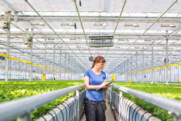 Portrait of young female botanist standing with clipboard in plant nursery - Photo, image