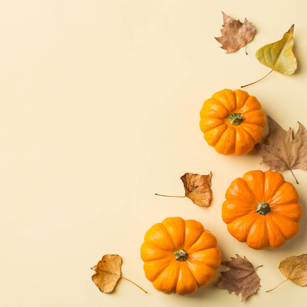 Autumn fall thanksgiving day composition with decorative orange  - Фото, зображення