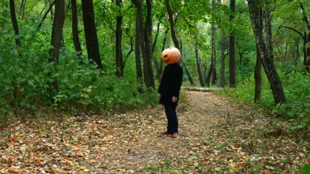 Halloween pumpkin head faces in the autumn forest moves like a zombie - Footage, Video
