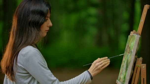 Aantrekkelijk meisje het tekenen van een landschap op de natuur in het bos. - Video