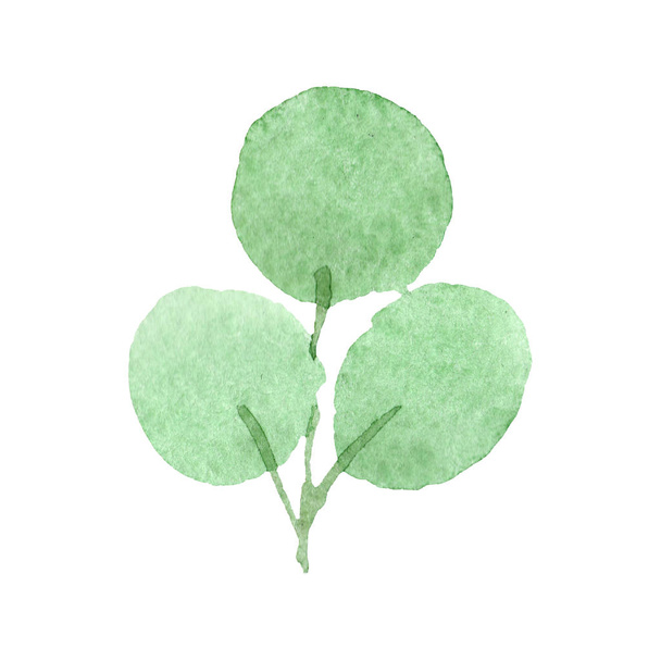 Green leaves. Watercolor background illustration set. Isolated leaf illustration element. - Foto, afbeelding