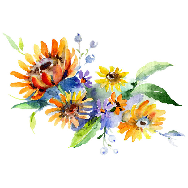 Bouquet floral de fleurs botaniques. Ensemble de fond aquarelle. Bouquets isolés élément illustration
. - Photo, image
