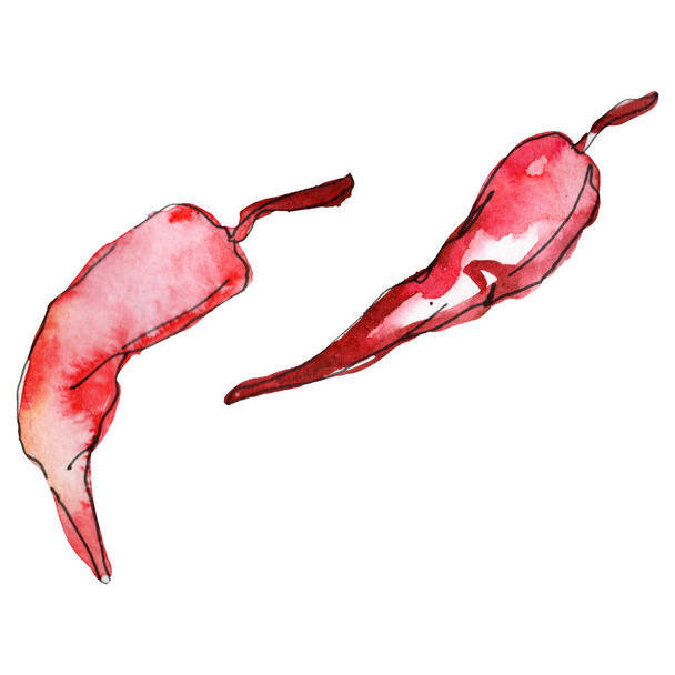 Červené chilli papričky. Vodný obrázek pozadí-barevný. Izolovaný ilustrační prvek. - Fotografie, Obrázek