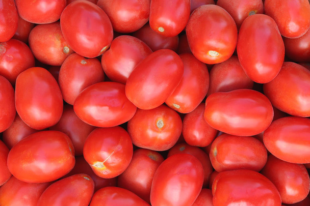 Tomatoes filling texture. Fresh tomato vegetable background. - Foto, afbeelding