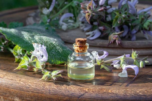 新鮮なクラリーセージ植物とエッセンシャルオイルのボトル - 写真・画像