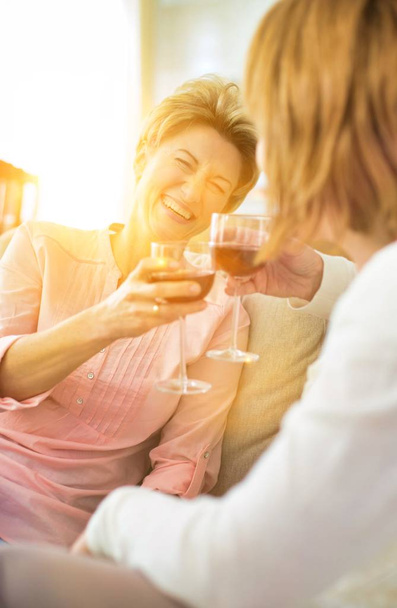 Seniors drinking wine at a party at their home - Valokuva, kuva