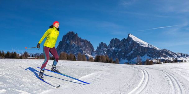 Langlauf nebo běh na lyžích - Fotografie, Obrázek