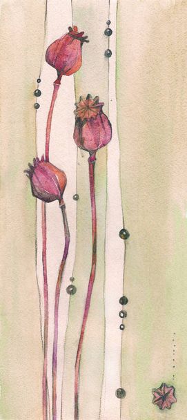 Getrocknete Blüten: Mohn. Wunderschönes botanisches Vintage-Aquarell auf beigem Hintergrund. Elegante Pflanze in ungewöhnlichem länglichem Format. Eine reiche Textur von Strichen und Füllungen. - Foto, Bild