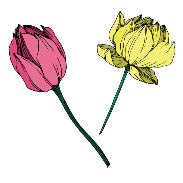 Цветочный ботанический цветок лотоса. Черно-белый рисунок чернил. Изолированный элемент иллюстрации лотоса
. - Вектор,изображение