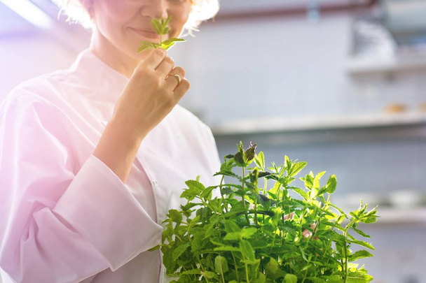 cropped image of confident chef smelling fresh mint leaves in kitchen at restaurant - Photo, Image