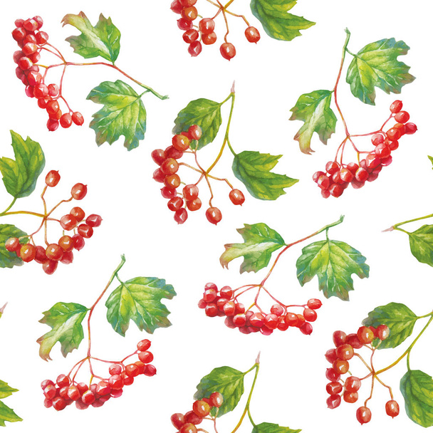 Vector Red viburnum opulus - guelder-rose - branch with leaves and berries - seamless pattern. - ベクター画像