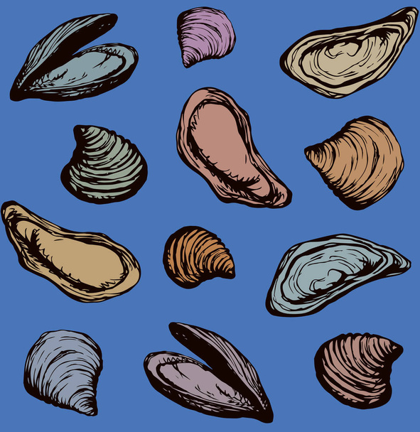 Oyster. Vector drawing - Vector, Image