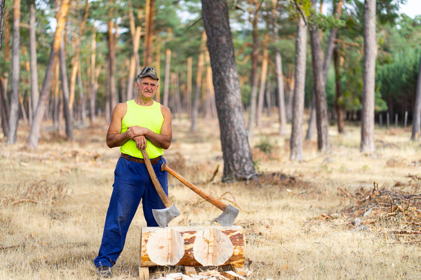 Sert ellerinde baltalı oduncu. Oduncu çam ormanında çalışıyor. Oduncu bir fotoğraf için poz. - Fotoğraf, Görsel
