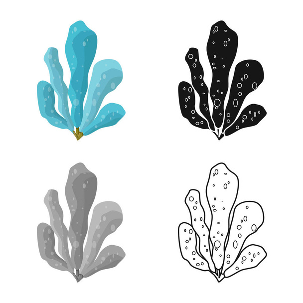 Vector illustration of seaweed and coral sign. Collection of seaweed and water vector icon for stock. - Vektor, kép
