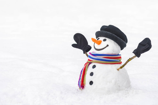 Leuke sneeuwpop met een mooie glimlach - Foto, afbeelding