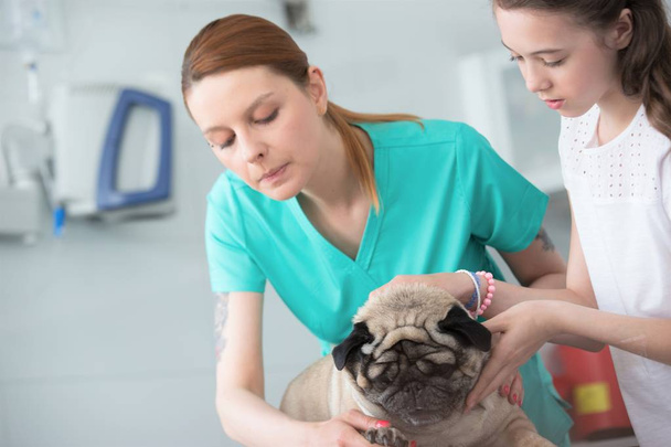 Doctor checking nails and girl stroking pug at hospital - Fotoğraf, Görsel