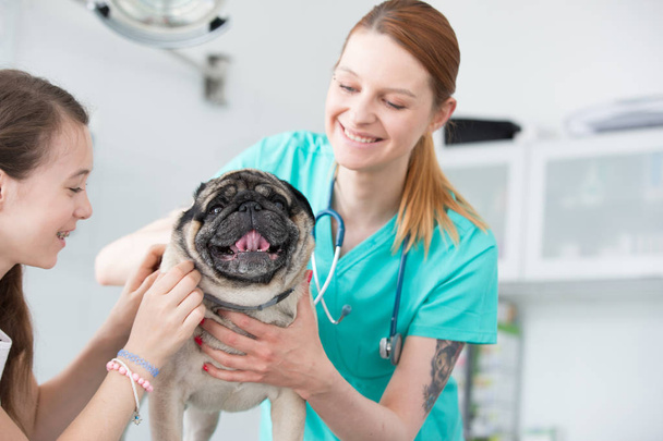 Young veterinary doctor and girl stroking pug on table at hospit - Foto, Imagem