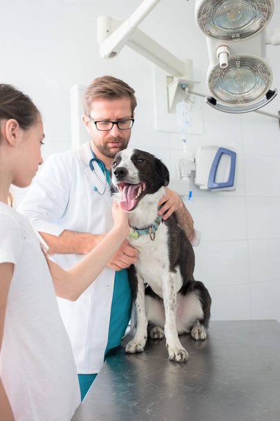 Veterinary and girl stroking dog at clinic - Фото, зображення