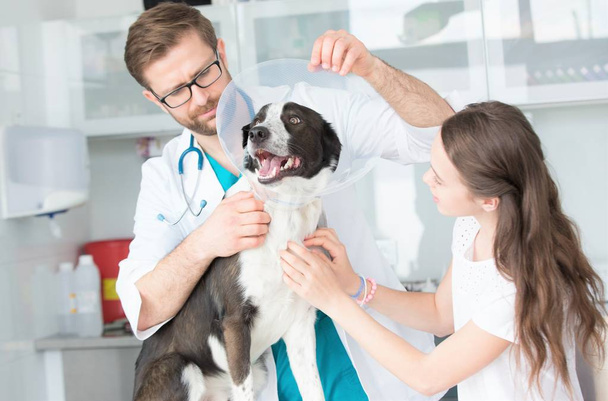 Médico veterinário e menina segurando colar cone no cão na clínica
 - Foto, Imagem