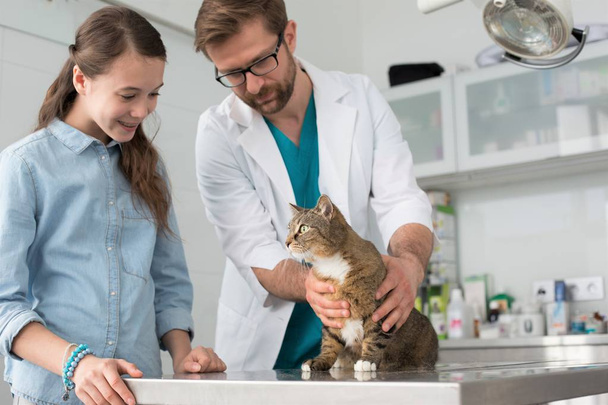 Doctor and girl looking at cat on table in veterinary clinic - Фото, зображення