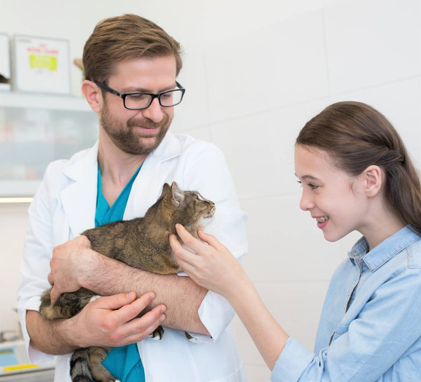 Doctor carrying while owner stroking cat at clinic - 写真・画像