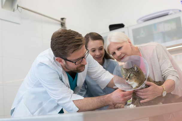 Doctor and girl looking at cat on table in veterinary clinic  - Fotoğraf, Görsel