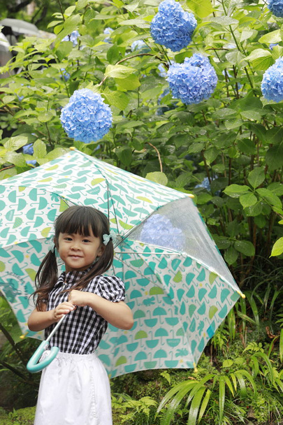 Japanese girl putting up an umbrella and hydrangea (4 years old) - Photo, Image