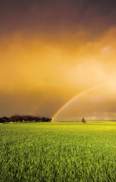Colores del arco iris
 - Foto, imagen