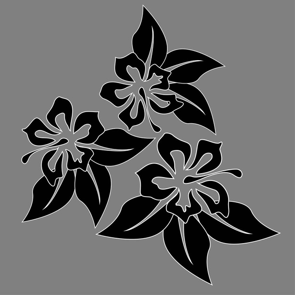 Kollektion mit Hibiskusblüte. Hibiskusblüte. Frühlingsdekoration. exotischer botanischer Hintergrund. exotischer Sommerdruck. schönes schwarzes Muster auf weißem Hintergrund - Vektor, Bild