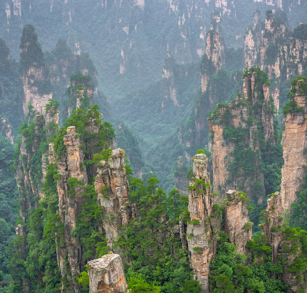 Piliers en pierre des montagnes Tianzi
 - Photo, image