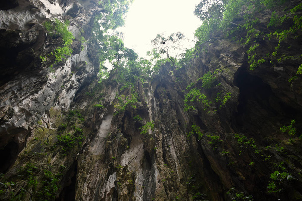 Batu Caves in een kalkstenen heuvel met een reeks grotten en Grottempels - Foto, afbeelding