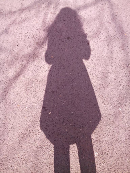 Sombra de niña y ramas de árboles sombras a su alrededor en el camino
 - Foto, Imagen